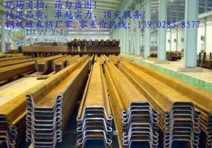厂家直销/租赁钢板桩 冷弯与热轧拉伸桩的全方位解决方案